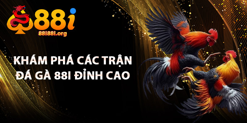 Khám Phá Các Trận Đá Gà 88I Đỉnh Cao