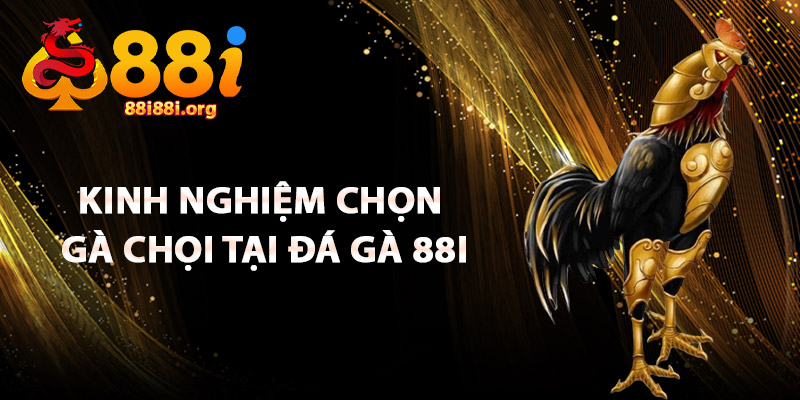 Kinh Nghiệm Chọn Gà Chọi Tại Đá Gà 88I